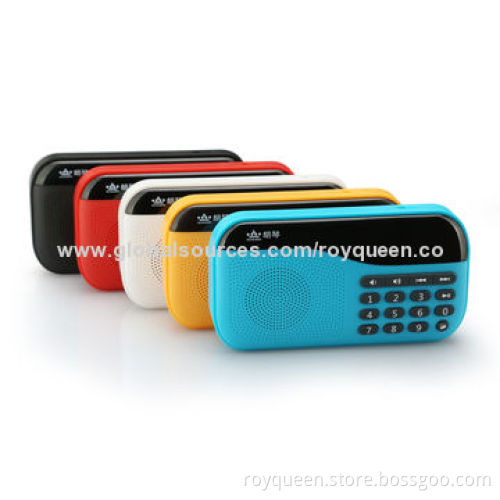 Portable Speaker, LED Digital Display, FM RadioNew